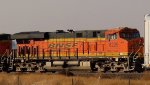 BNSF 8229